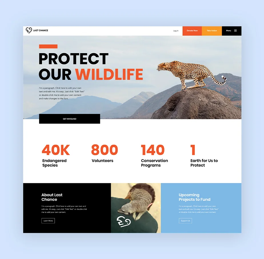 Joliet Web Design Company